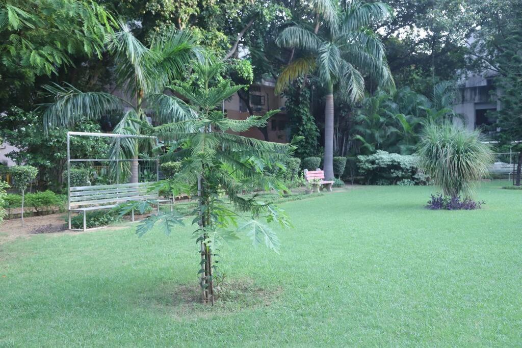 ניו דלהי Divine India Service Apartment 3Bhk,B57 Sarita Vihar,Apollo מראה חיצוני תמונה